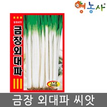 금장 외대파 씨앗 2000립