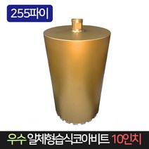 우수 일체형 습식코아비트 10인치 255파이 코어비트, 1개