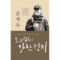 소리 없이 강한 정치:여의도로 간 ‘첫 번째 펭귄’의 새 정치 도전기, 큰곰, 윤재옥 저