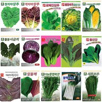 호미닷컴 엽채류 채소씨앗 - 김장씨앗 배추씨앗 무씨앗 야채씨앗 항암 수박무 나물 꽃 허브 잔디 쌈채소 씨앗, 엽채48. 치마아욱