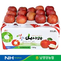 산지직송 경북 영양농협 사과 꿀부사 상품 10kg 46-50과, 1개