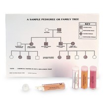 Nasco 인간의 유전인자 실험 미맹테스트 키트( 4가지 종류 테스트페이퍼포함)