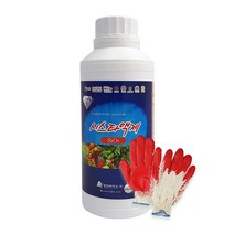 시스타액제 500ml 수용성규산염 유기농 영양제 규산나트륨 항공방제 드론방제 수도작 포도나무비료 샤인머스켓 포도 딸기 벼 고추, 1개