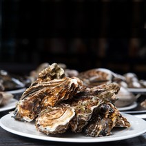 산지직송 최상급 통영굴 석화 생굴 각굴 반각굴 바위굴 석굴 깐굴 개체굴 벚굴 삼배체굴 세척 하프셀 하프쉘 굴 1kg 10kg 손질 횟감 용, 3.3 석화 10kg