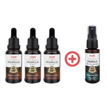 하이웰 프리미엄 프로폴리스 익스트렉트 30ml 3+1, 단품, 본품+사은품