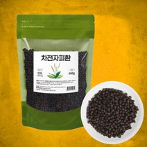 차전자피 환 300g 600g
