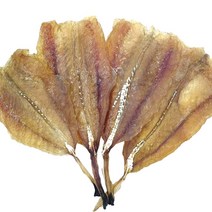 순살 꼬리 아귀포 1kg 통아귀포 통마리 아귀포, 단품