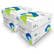 삼성 A4용지 복사용지 75g 4000매 (2000매 2박스), A4, 12000매