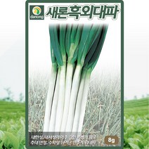 다농새론흑외대파씨앗 20g, 단품