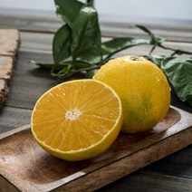 국내산 농장직송 제주 황금향 소과 4.5kg 25-35과