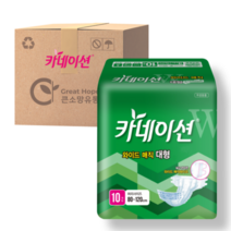 카네이션 겉기저귀 매직 실속 대형 W1, 10팩