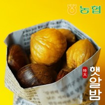 [프레시데이] [농협] 토실토실 햇밤 순창 알밤 특대 2kg (제수용), 상세 설명 참조, 상세 설명 참조