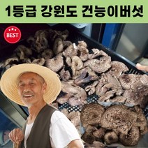 강원도 국산 자연산 건능이버섯 50g 건조 능이버섯 국내산 능이버섯 국산능이버섯 자연산능이버섯 건능이 1등급 말린, 건조능이버섯 100g