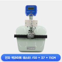 배근력계 허리 근육 근력 테스트 배근력측정기