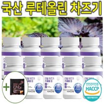 프리미엄 고농축 국내산 차즈기 차조기 차지기 차주기 차자기 붉은깻잎 보라색깻잎 루테올린 루테인 자소엽 자엽소 잎 차 티 캡슐 환 정 분말 가루 파우더 추출물 효능 효과 추천 10통