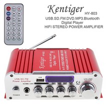 차량앰프 DC12V/AC220V/AC110V 2CH HI-FI 자동차 오디오 전력 증폭기 FM 라디오 플레이어 SD USB DVD MP3, 한개옵션0