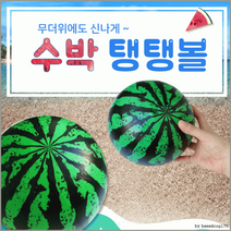 탱탱볼[수박 탱탱볼]탱탱볼/비치볼/수박탱탱볼/KC인증/비치볼/수박공/비취볼/공/축구공[효정무역], 칼라무지탱탱볼(핑크)