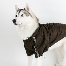 퍼피아 강아지 외출용 바람막이, 브라운