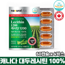 캐나다 레시틴 식물성 인지질 식약처인증 순수 대두레시틴 100% 혈중 콜레스테롤 개선, 4박스, 60캡슐