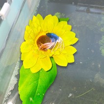 어와둥둥 해바라기 베타침대 은신처, 해바라기침대(중)