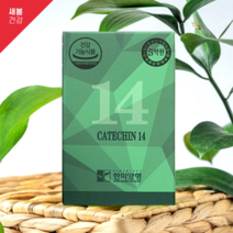 카테킨다이어트 체지방감소 녹차카테킨 48정