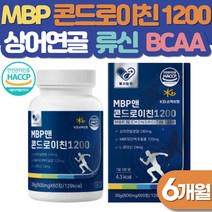 뼈엔 MBP 콘드로이친 6개월 BCAA 글루타민 뼈건강 엠비피