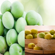 매실 레몬 파인애플 자몽 복숭아홍차 복분자 망고 유자 농축액, 자몽농축액 1L