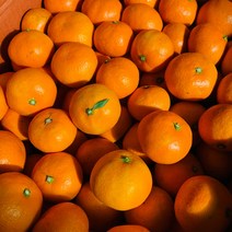 프리미엄 명품 제주 감귤 3kg 선물용 하우스감귤, 하우스감귤 S-2S 3kg(40~43과), 1개