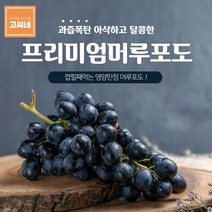 고씨네 특급 포도2kg 수입포도 크림슨포도 아도라포도, 쿠팡업 1, 쿠팡업 본상품선택