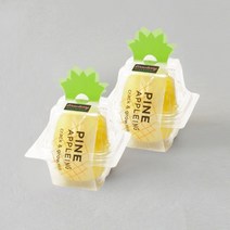 세이신 파인애플링 애플민트 산딸기 미니화분 키우기