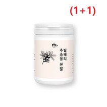 1+1행사중 빌베리 분말형 100% 폴란드산 홀틀베리 80g 남성 여성 청소년 어린이 학생 간식 BILLBERRY