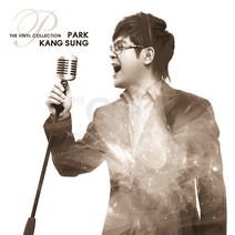 1LP_박강성(PARK KANG SUNG)-THE VINYL COLLECTION [500장한정반]