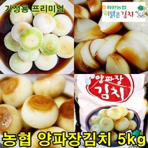 해남 화원농협 양파장김치 5kg 최고급 순국산양념재료 100% 이맑은김치