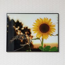 호아트 해바라기액자 달마액자 사과액자 (40cmx30cm) 벽장식 소품 개업 집들이선물 액자, 6.석양해바라기액자(40cmx30cm)