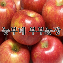 햇사과 22년 부사 맛있는 꿀사과 산지직송 농부네 부부농장, 13. 알뜰사과 가정용 10kg 중과