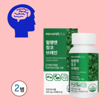 혈행 브레인 징코 은행잎추출물 혈액순환제 은행잎 추출물 플라보놀 기억력 기억력영양제 혈액순환개선제 장코플러스 바나바잎추출물 포스파티딜세린 뇌영양제 수험생영양제 뇌영양제추천, 2병