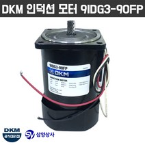 DKM 인덕션 모터 9IDG3-90FP 삼상 220V 15파이 감속기타입
