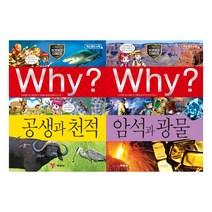 [예림당] Why 과학 53 54 세트 (전2권) 공생과천적 암석과광물 - 초등과학학습만화시리즈