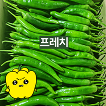 프레치 국내산 싱싱 아삭이고추 오이고추, 1kg, 상