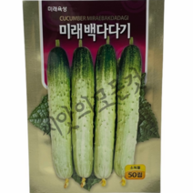 백다다기 오이씨앗 50립 백침오이 백오이 마디오이 조선오이 미래종묘 빠른배송, 1개