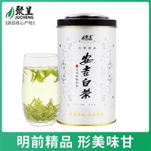 차이준 안길백차 2020년 신다안길백차 125g 내전 프리미엄 백차 티 앤지 벌크 녹차 컬렉션