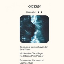 에센셜 오일 디퓨저용 호텔 컬렉션 향기 아로마 테라피 디퓨저 향수 100ml, OCEAN_100 ML