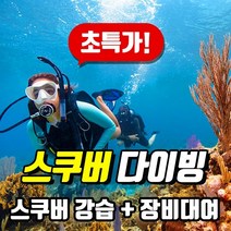 [50%이벤트] PADI 오픈워터 스쿠버다이빙 자격증, 2인 등록시(이러닝)