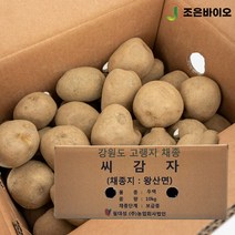 강원도 왕산면 씨감자 두백 10kg 보급종 감자씨