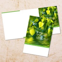 교회 절기 주보 추수감사절 주보용지 3단 6면 주보지 52주 디자인 순서지 안내지 교회용품 기독교용품 주일학교 청년부 전도용품 새교우, EW-14