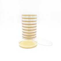 [MEDION]메디온 식품공전 보통한천배지 생배지 Nutrient Agar(NA) 50plate