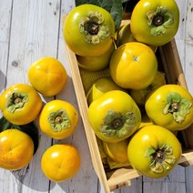 품평회대상 태추 단감 배단감, 태추 단감 5kg (23과내외, 1개