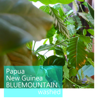 오라커피 파푸아뉴기니 블루마운틴 A 원두 커피 핸드드립 200g, 업소용에스프레소 (아주곱게분쇄)