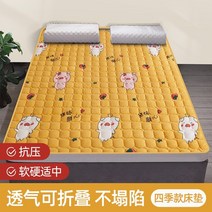 자가 발열 토퍼 매트 양털 이불 돌침대용 흙침대 돌 침대 위 양면 극세사 바닥 양모 51, Zhu Shi Shun Xin 적당히 부드럽고 단