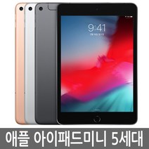 아이패드 미니 5세대 64GB 64기가 WiFi/LTE 셀룰러, WIFI